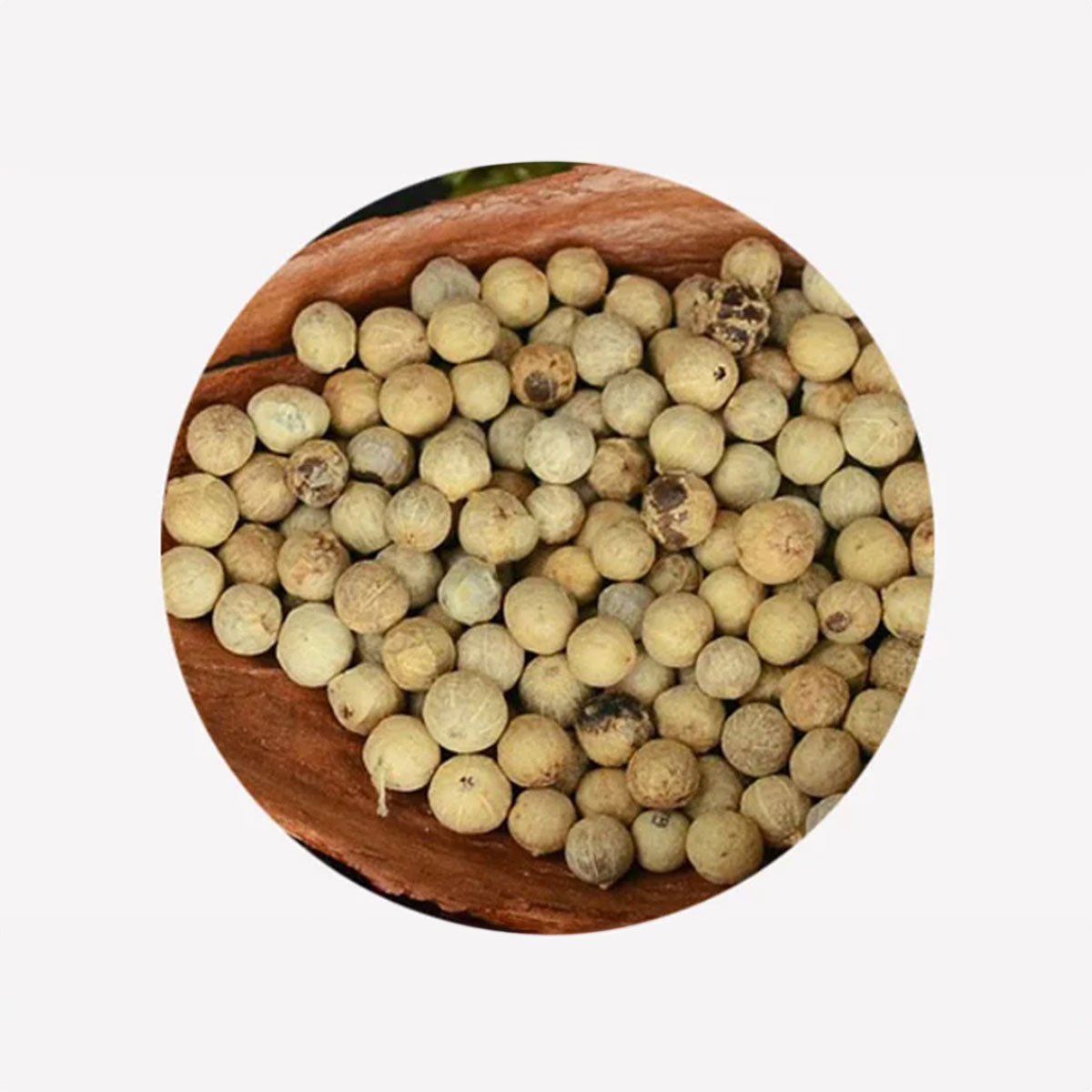 White Peppercorns